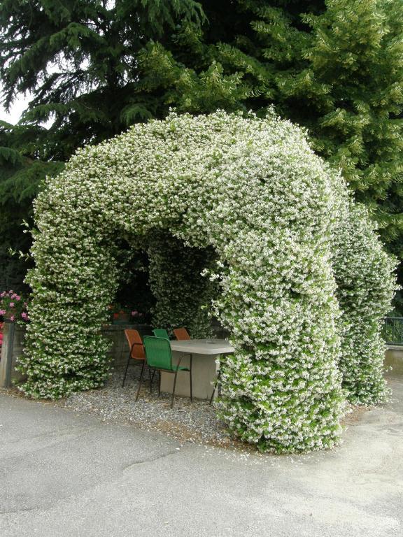 Albergo Ristorante La Scaiola Nuvolera Zewnętrze zdjęcie